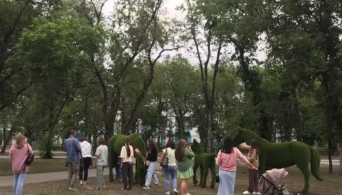 Жители Бийска налетели на установленные в парке фигуры