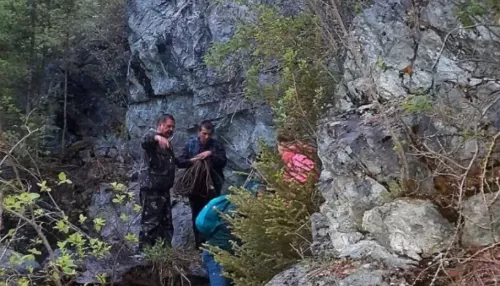 На Алтае эвакуировали туристов из-за разлившегося ручья