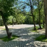 В барнаульском парке Юбилейный срубят только аварийные деревья