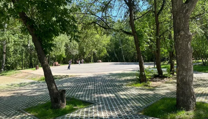 В барнаульском парке Юбилейный срубят только аварийные деревья