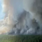 Как боролись с крупным лесным пожаром в Егорьевском районе