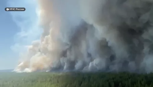 Как боролись с крупным лесным пожаром в Егорьевском районе