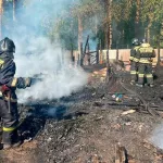 В Новосибирске при пожаре в дачном доме погиб 11-летний ребенок