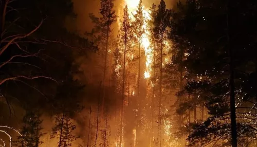 Крупный лесной пожар в Алтайском крае тушили неделю