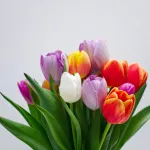 Длинные выходные совсем близко. Как россияне будут отдыхать на 8 Марта