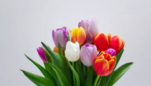 Длинные выходные совсем близко. Как россияне будут отдыхать на 8 Марта