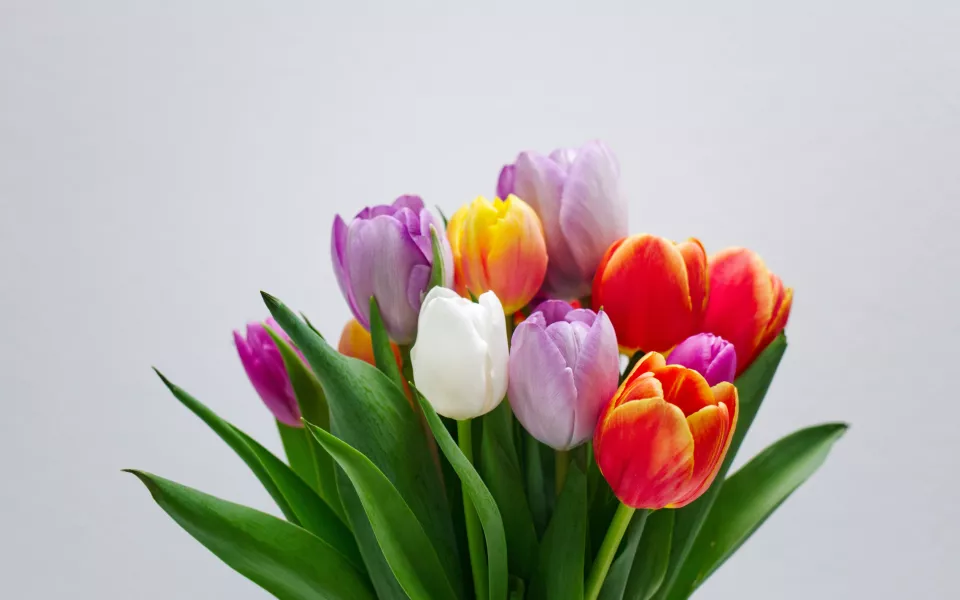 Барнаульцы рассказали, сколько готовы потратить на подарки к 8 Марта