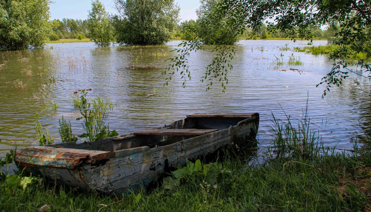 Карта затон барнаул