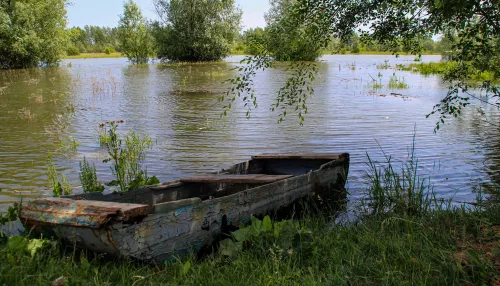 Сантиметры до критической отметки: как Затон в Барнауле переживает паводок. Фото