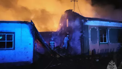 В Алтайском крае в одночасье сгорел деревенский дом вместе со всеми постройками