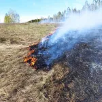 Крупные пожары произошли в двух районах Алтайского края