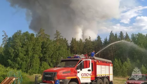 В Егорьевском районе локализовали масштабный лесной пожар