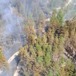 Лесной пожар в Егорьевском районе ликвидировали спустя 10 дней