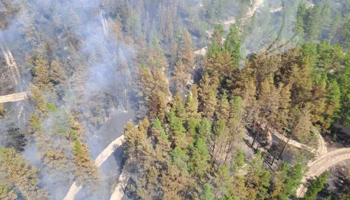Лесной пожар в Егорьевском районе ликвидировали спустя 10 дней