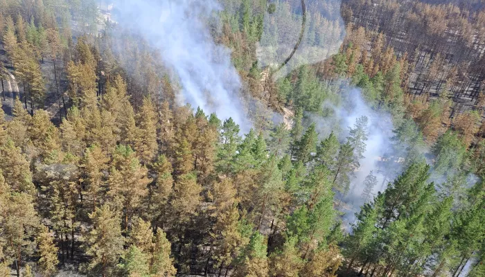 В крае ищут деньги на зарплату лесным пожарным на фоне прогноза о сложном сезоне