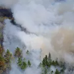 До 9 тысяч га увеличилась площадь лесного пожара в Егорьевском районе