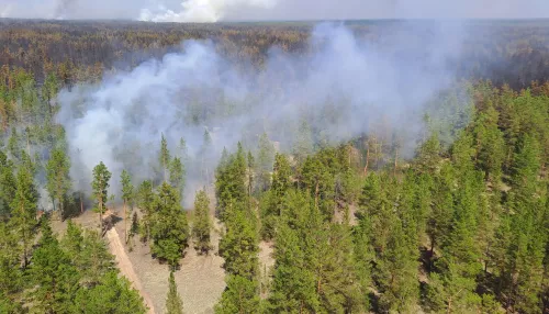 Причиной крупного лесного пожара в Егорьевском районе мог стать поджог