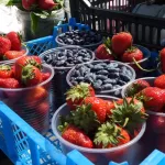 На рынках Барнаула в изобилии появились первые ягоды: почем витамины