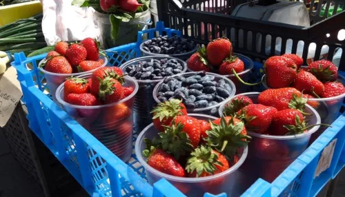 На рынках Барнаула в изобилии появились первые ягоды: почем витамины