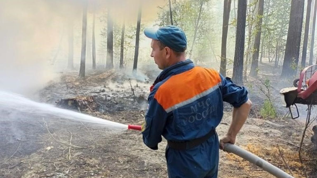 Пожарные тушат лес в Егорьевском районе