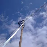 Алтайские пожарные спасли со столба кота Леопольда