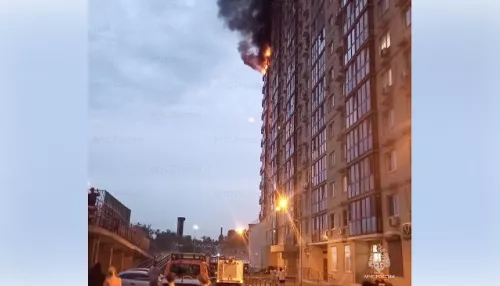 В Подмосковье пожарный и пострадавший упали с 14 этажа и погибли