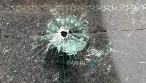 Соцсети: в Барнауле неизвестные обстреляли припаркованную иномарку