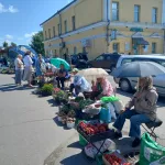 Ягодно-огородный бизнес: кто и чем торгует на городских базарчиках Барнаула  