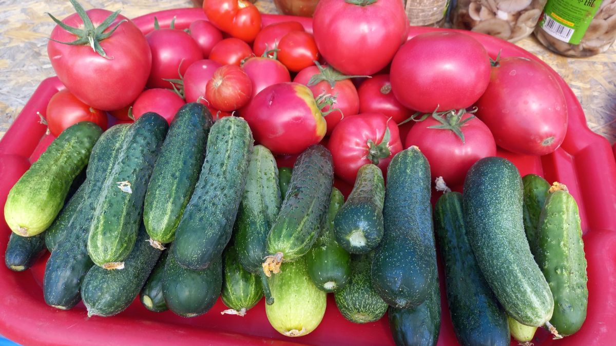 Огурцы и помидоры