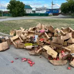 Барнаульцы возмущены свалкой у Ашана с гнилыми овощами после дальнобойщиков