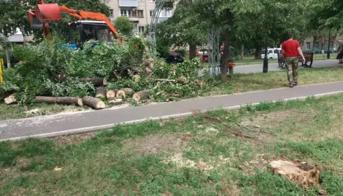 Упавшие деревья и оборванные провода: в Барнауле устраняют последствия шторма