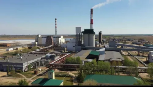 Крупный алтайский завод попал в Книгу рекордов России