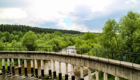 Лес новостроек. Проект застройки Лесного пруда в Барнауле получил шанс на реализацию