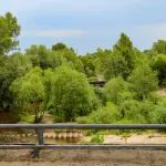 Глава Барнаула взял на контроль проект искусственного участка на Лесном пруду