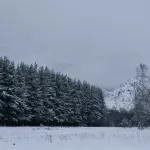 Зима в Алтайском крае начинается с тепла до +5 градусов и мокрого снега