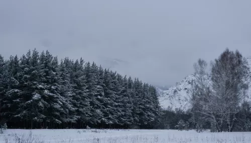 Зима в Алтайском крае начинается с тепла до +5 градусов и мокрого снега