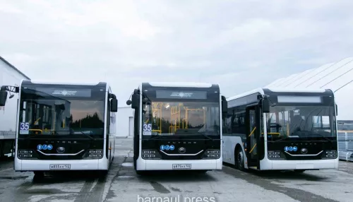 В Барнауле на маршрут вышли новые большие автобусы. Как они выглядят