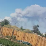 В нескольких районах Алтайского края 15 июля загорелись леса