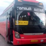 В Горном Алтае рейсовый автобус съехал в кювет – пострадала женщина