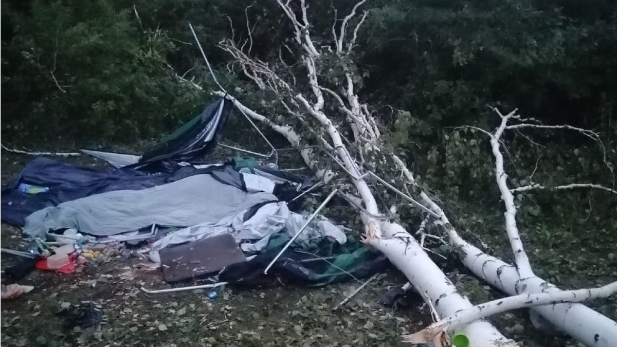 В Новосибирске дерево упало на палатку