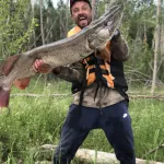 Под Новосибирском рыбак поймал гигантскую щуку длиной больше метра