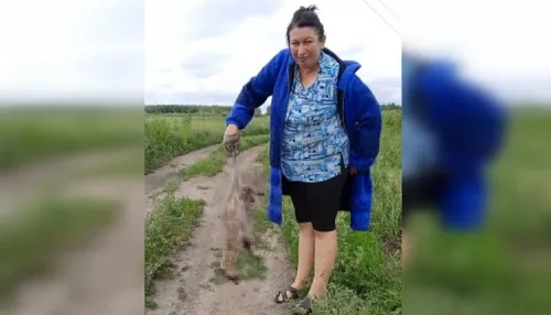 В Новосибирской области местные жители заметили чупакабру