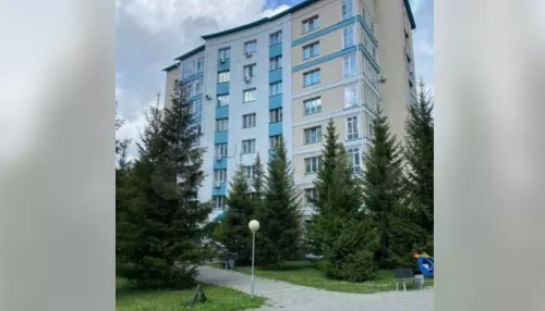 В Барнауле на Горе продают трешку с панорамным видом на лес за 24 млн рублей