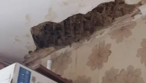 В Барнауле частично обвалился потолок в доме на улице Профинтерна