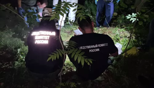 В Дивногорске убили 16-летнюю девушку и спрятали ее тело в лесополосе