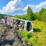 Пассажирский автобус Белокуриха – Новокузнецк слетел с дороги и перевернулся