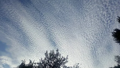 В Белокурихе небо покрылось необычной рябью облаков