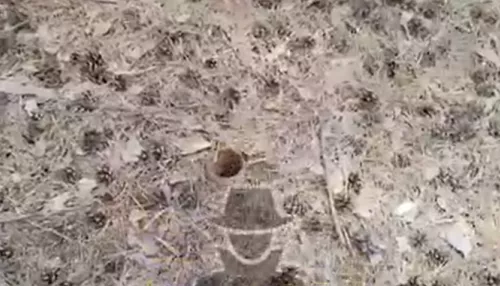 Барнаульцы пожаловались на неизвестных, которые воруют оградки на кладбище