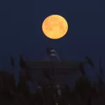 Что такое Осетровая Луна  и каким будет полнолуние 1 августа