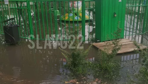 В Славгороде после сильного дождя затопило парк отдыха